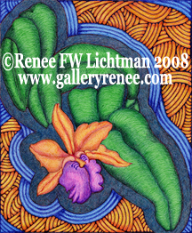 Satined Glass Cattleya - Ballpoint Pen Drawing in the Botanical Art Gallery